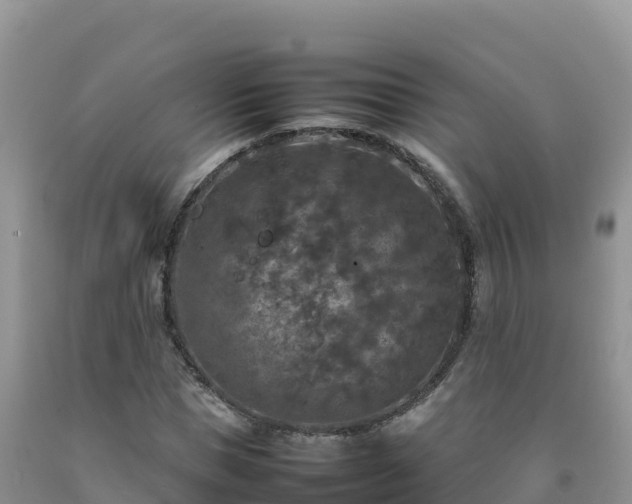 X0000092090921200709191242