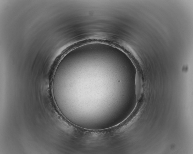 X0000092090923200709191242