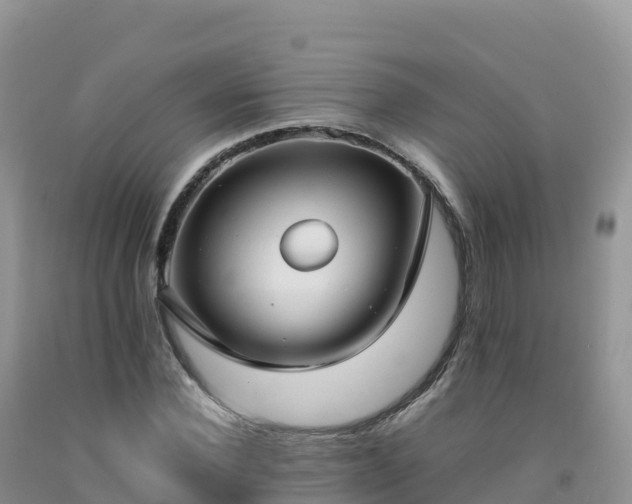 X0000092090924200709191242