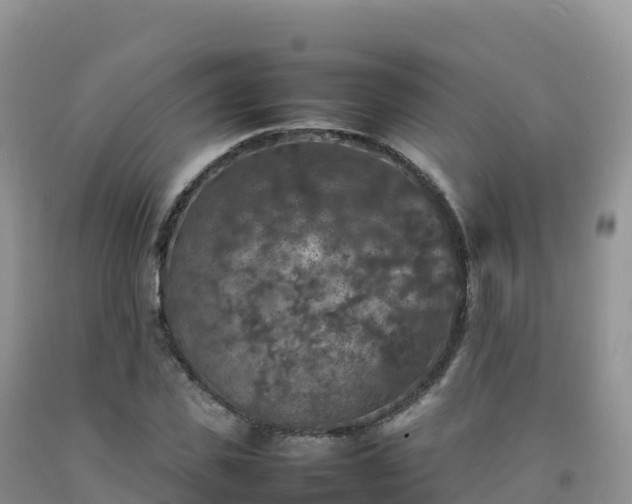X0000092090925200709191242