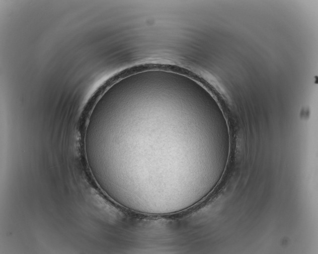 X0000092090926200709191242