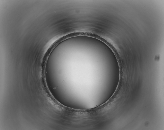 X0000092090927200709191242