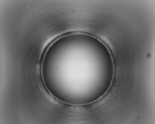 X0000092090928200709191242