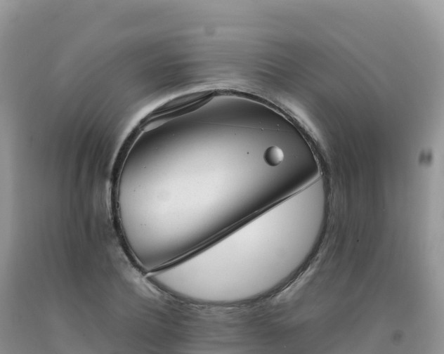X0000092090932200709191242