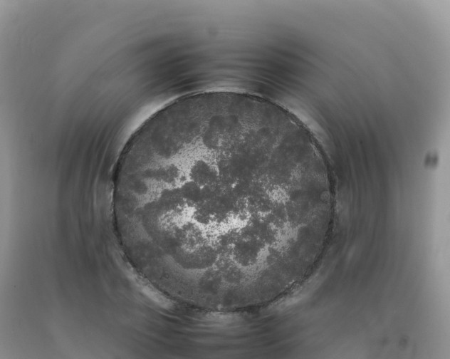 X0000092090933200709191242