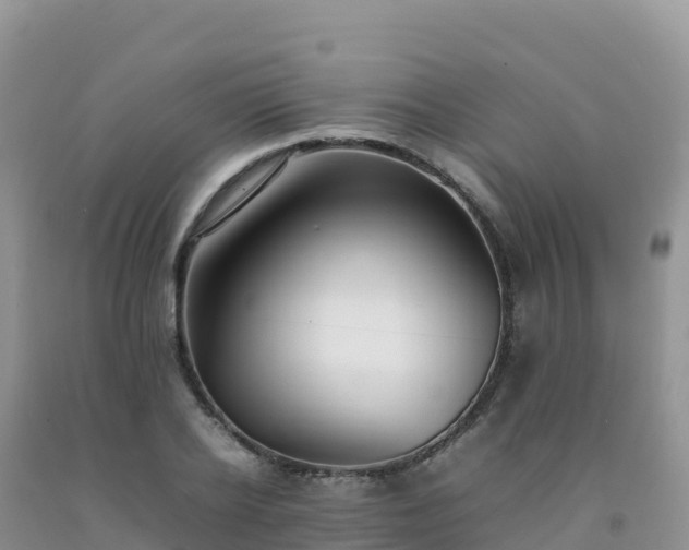 X0000092090934200709191242