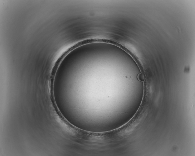 X0000092090935200709191242
