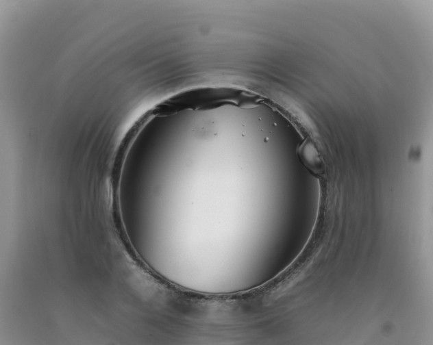 X0000092090936200709191242