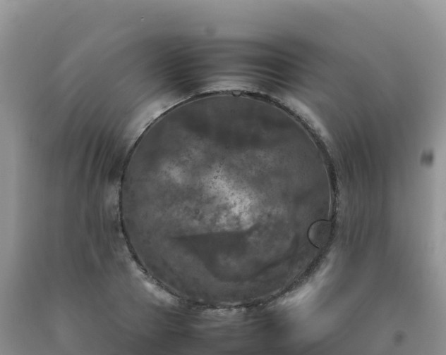 X0000092090937200709191242