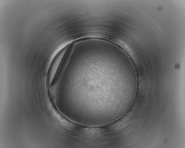 X0000092090939200709191242
