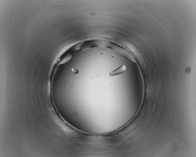 X0000092090940200709191242