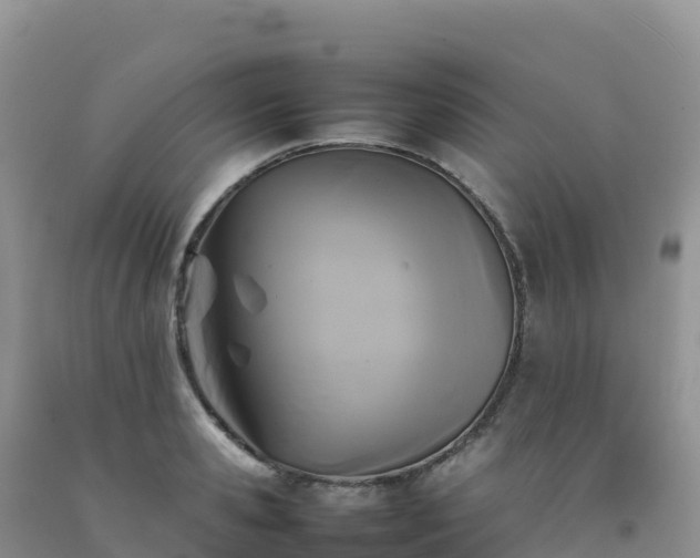 X0000092090941200709191242
