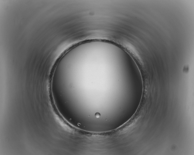 X0000092090942200709191242