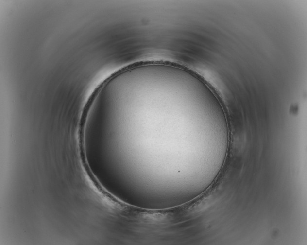 X0000092090943200709191242