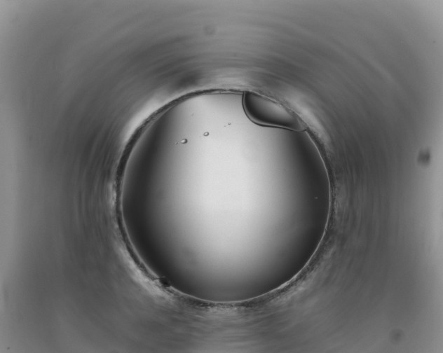 X0000092090944200709191242