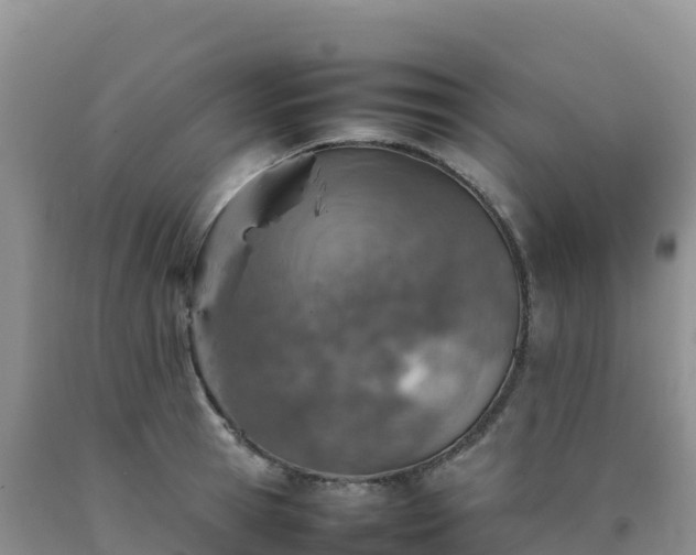 X0000092090945200709191242