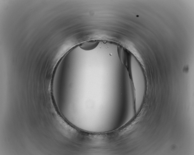 X0000092090946200709191242