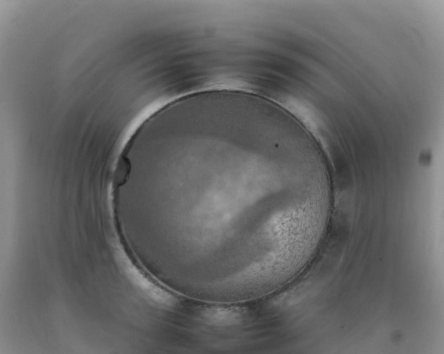 X0000092090947200709191242