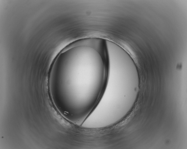 X0000092090948200709191242