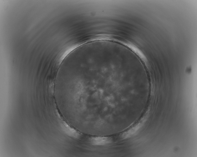 X0000092090953200709191243