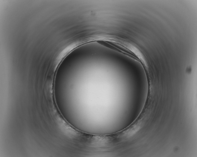 X0000092090954200709191243