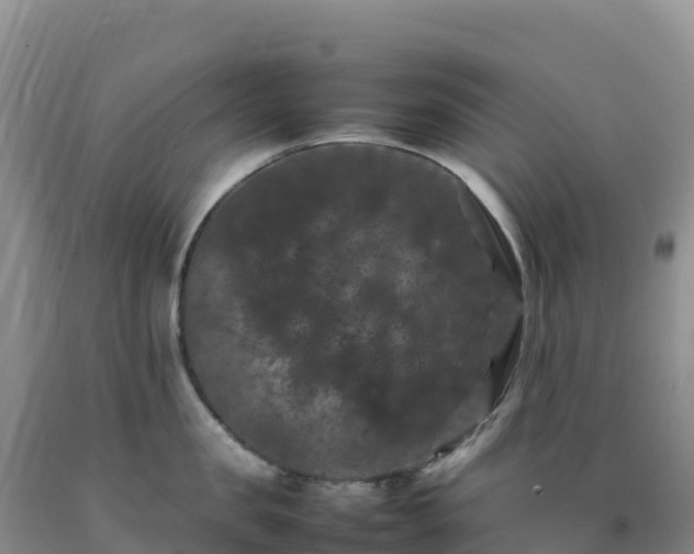 X0000092090957200709191243