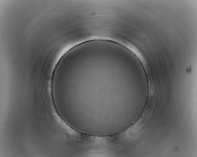 X0000092090958200709191243
