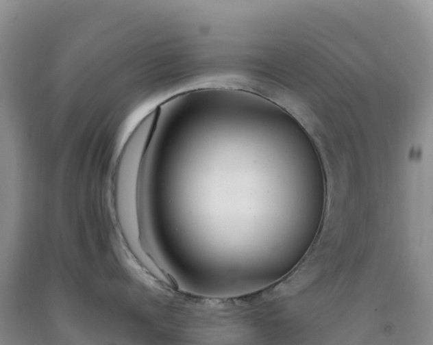 X0000092090960200709191243