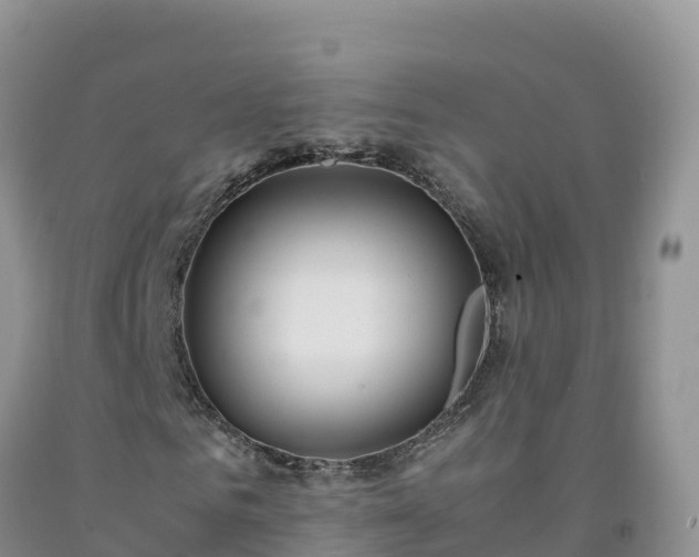 X0000092090961200709191242