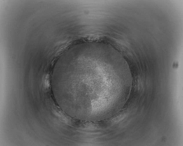 X0000092090962200709191242