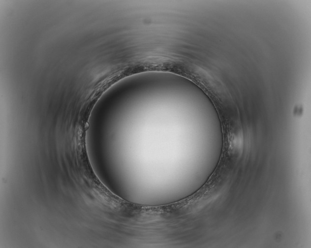 X0000092090964200709191242