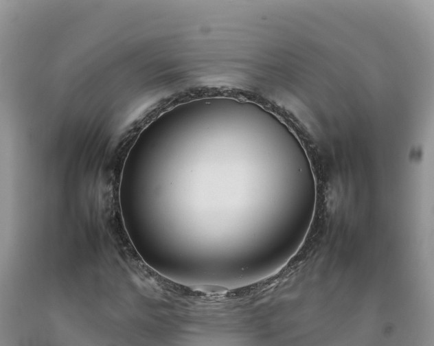 X0000092090968200709191242
