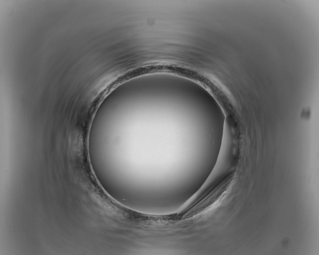 X0000092090969200709191242