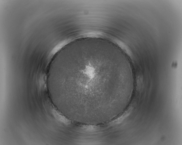 X0000092090970200709191242