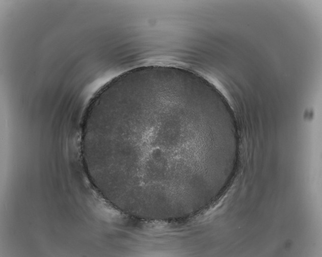 X0000092090971200709191242