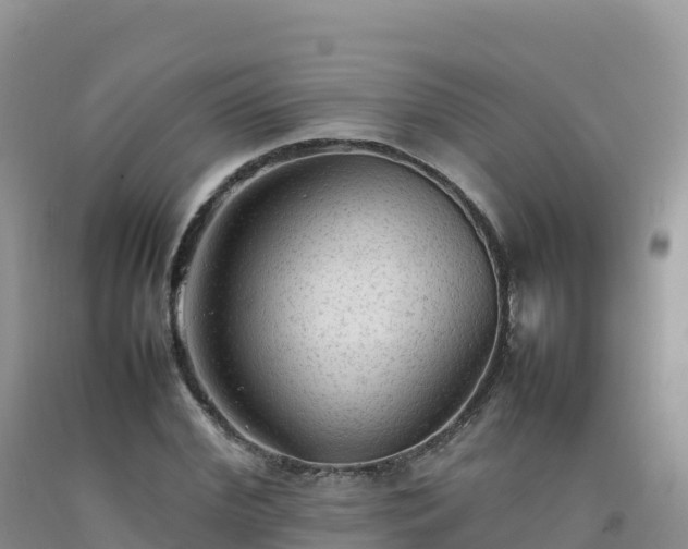 X0000092090972200709191242