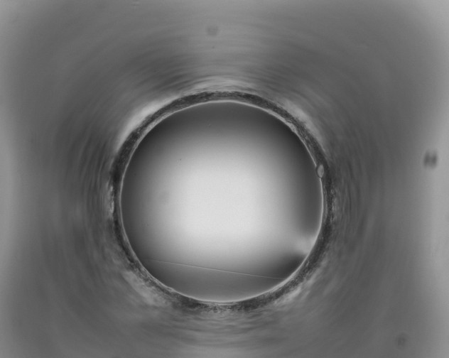 X0000092090973200709191242