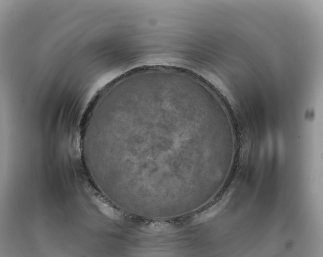 X0000092090974200709191242