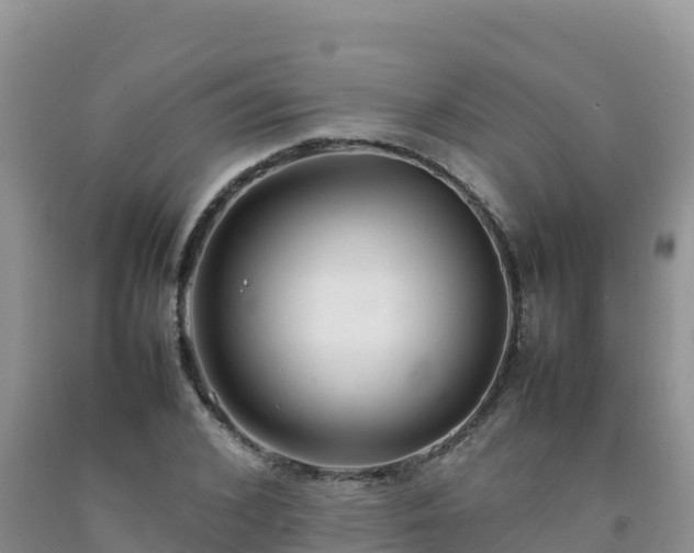 X0000092090976200709191242