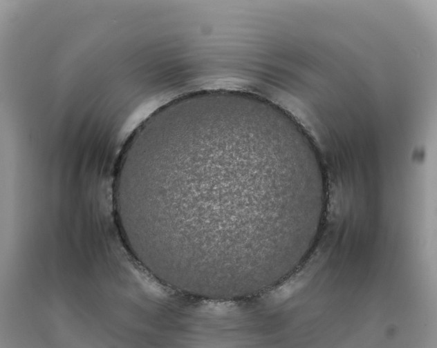 X0000092090978200709191242