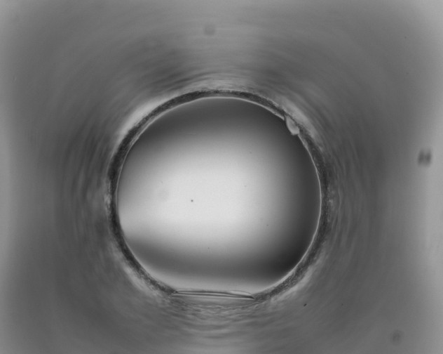 X0000092090981200709191242