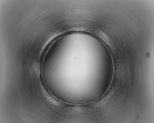 X0000092090984200709191242