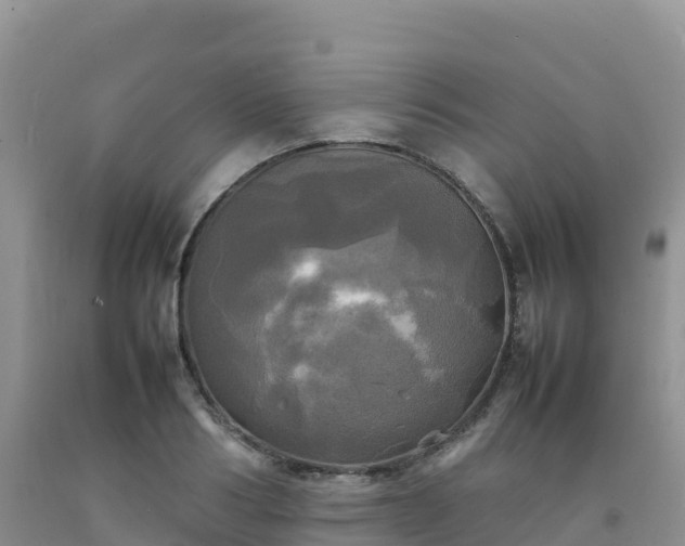 X0000092090986200709191242
