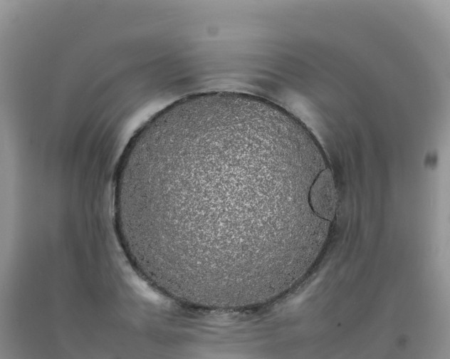 X0000092090987200709191242