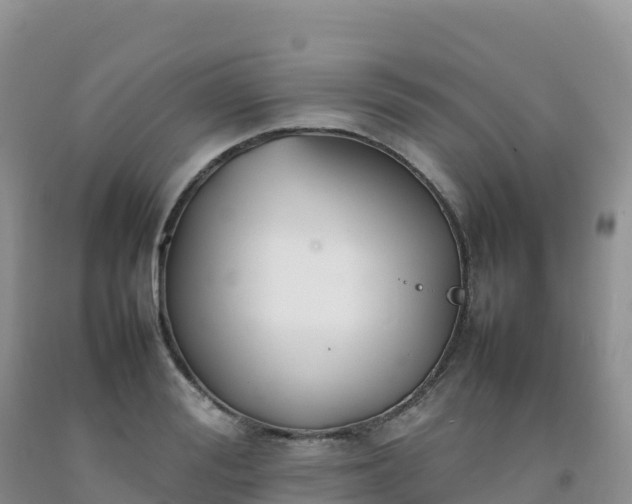 X0000092090988200709191242