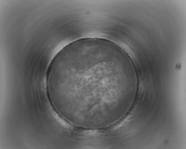 X0000092090990200709191242