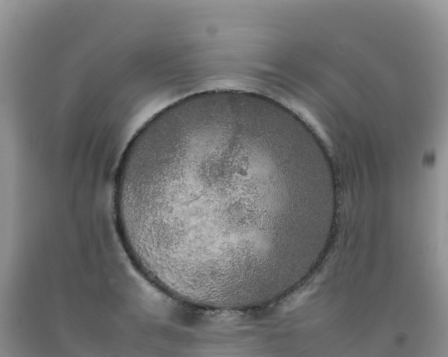 X0000092090991200709191242