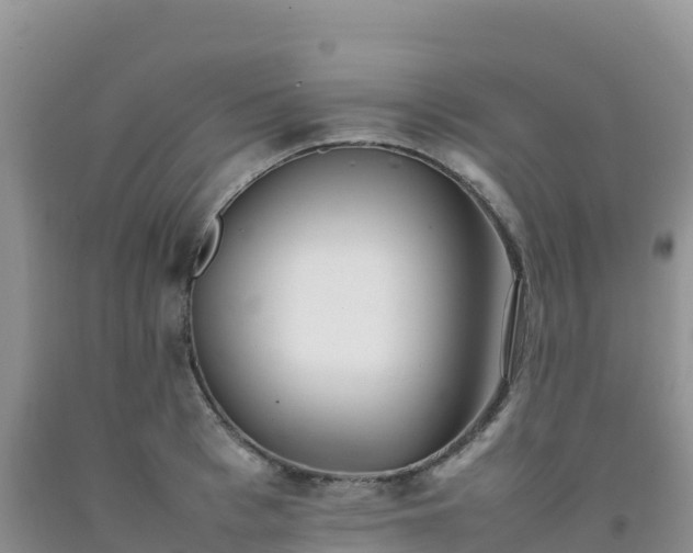 X0000092090993200709191242