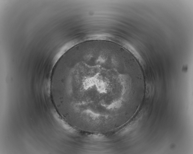 X0000092090994200709191242