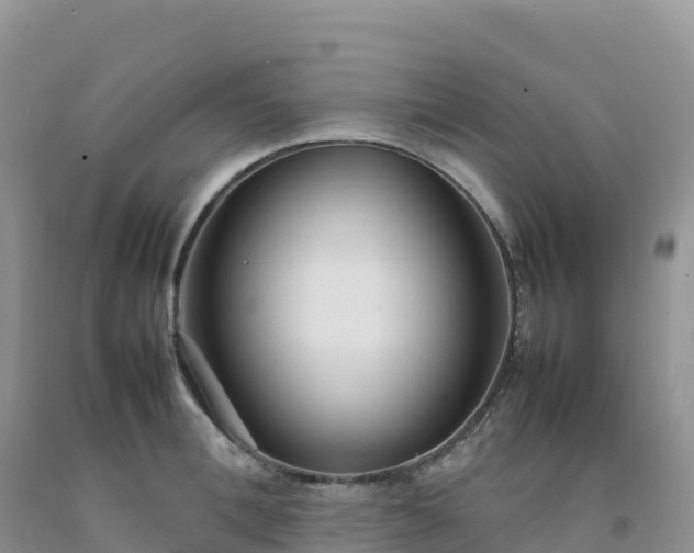 X0000092090996200709191242